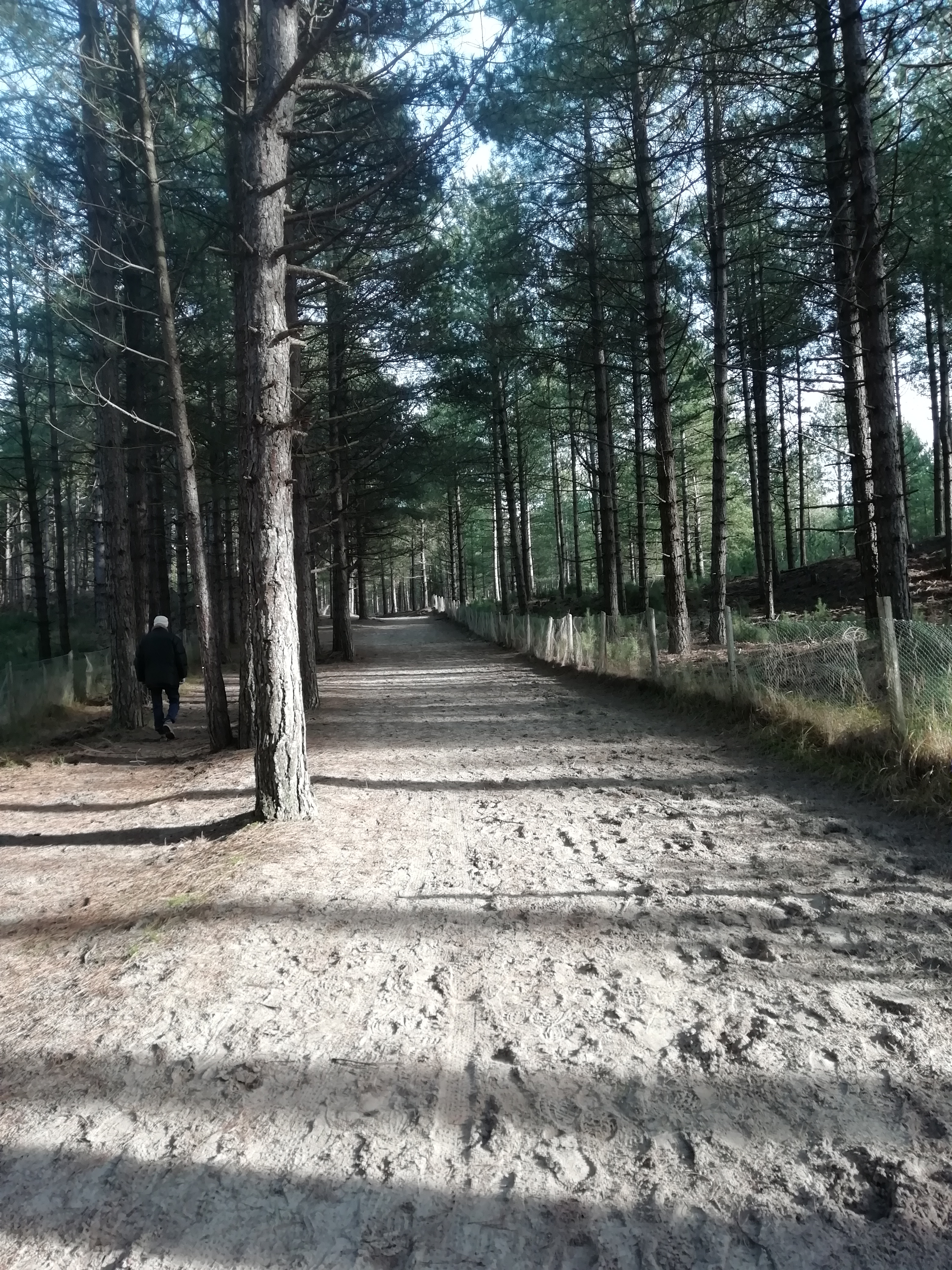 Photo n° 3 de l'avis de Christine.a fait le 13/02/2019 à 08:57