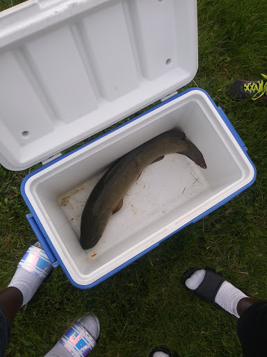 Park «Ruedisale Point Park», reviews and photos, 50400 Ruedisale St, New Baltimore, MI 48047, USA