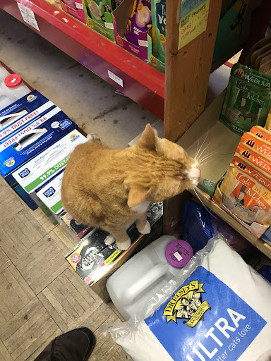 Pet Supply Store «Rittenhouse Square Pet Supply», reviews and photos, 135 S 20th St, Philadelphia, PA 19103, USA