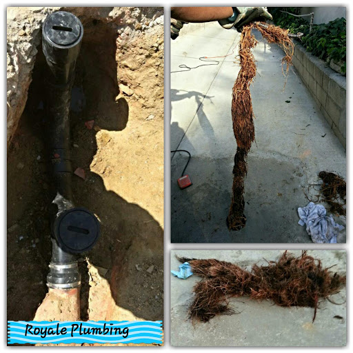 Plumber «Royale Plumbing», reviews and photos, 1045 N Genesee Ave #10, West Hollywood, CA 90046, USA