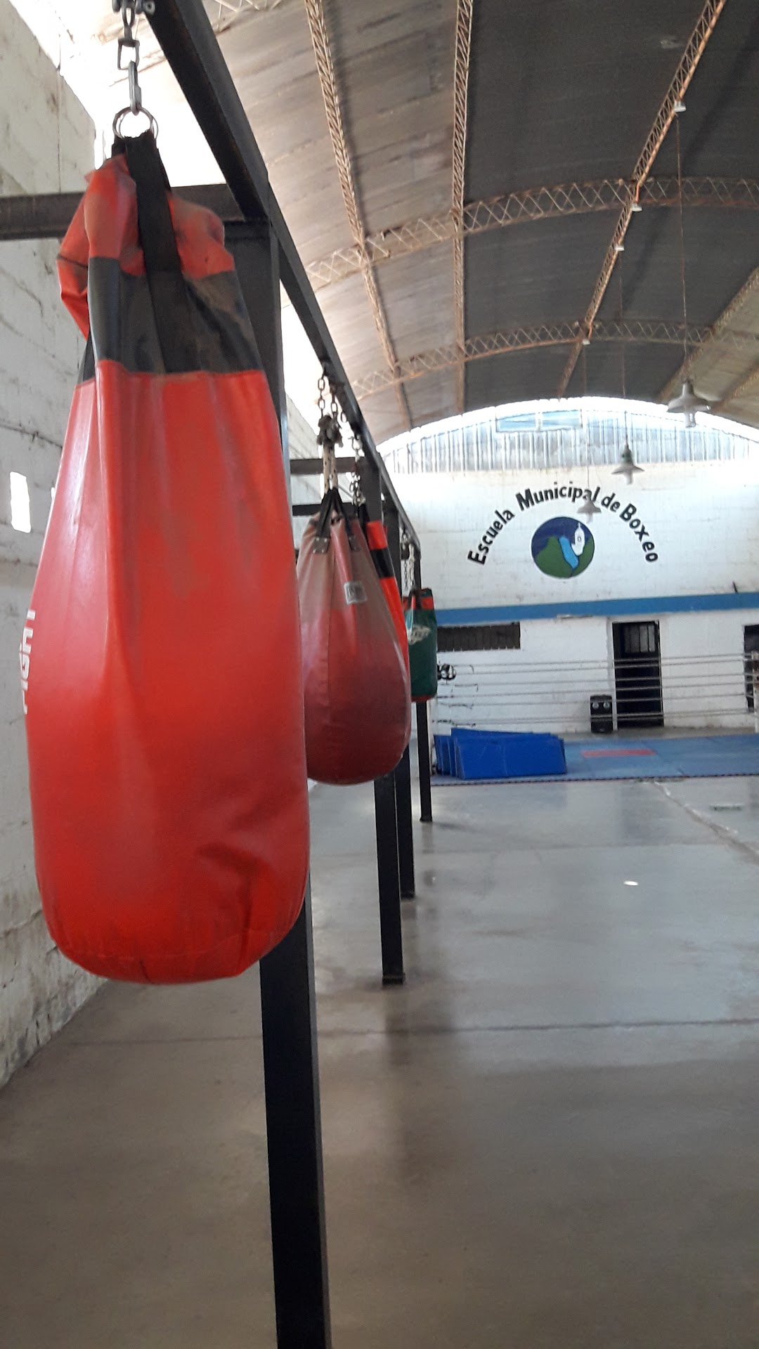 Escuela Municipal De Boxeo