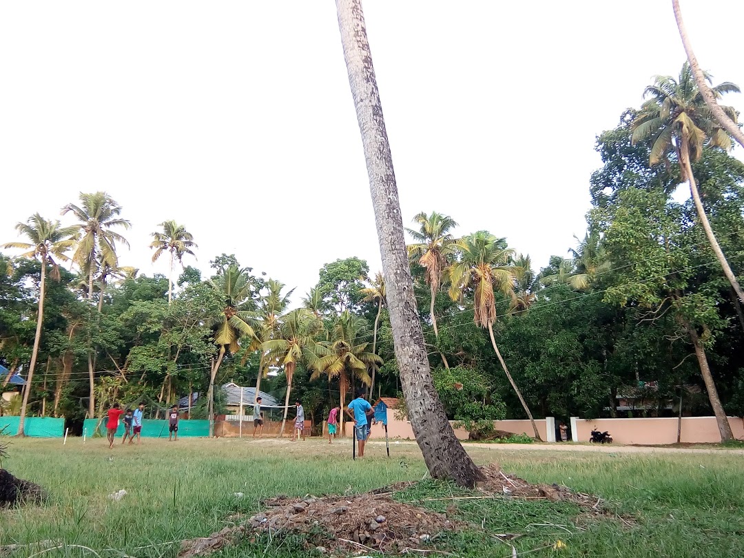 ബ്രില്യൻസ് തഴുപ്പ്