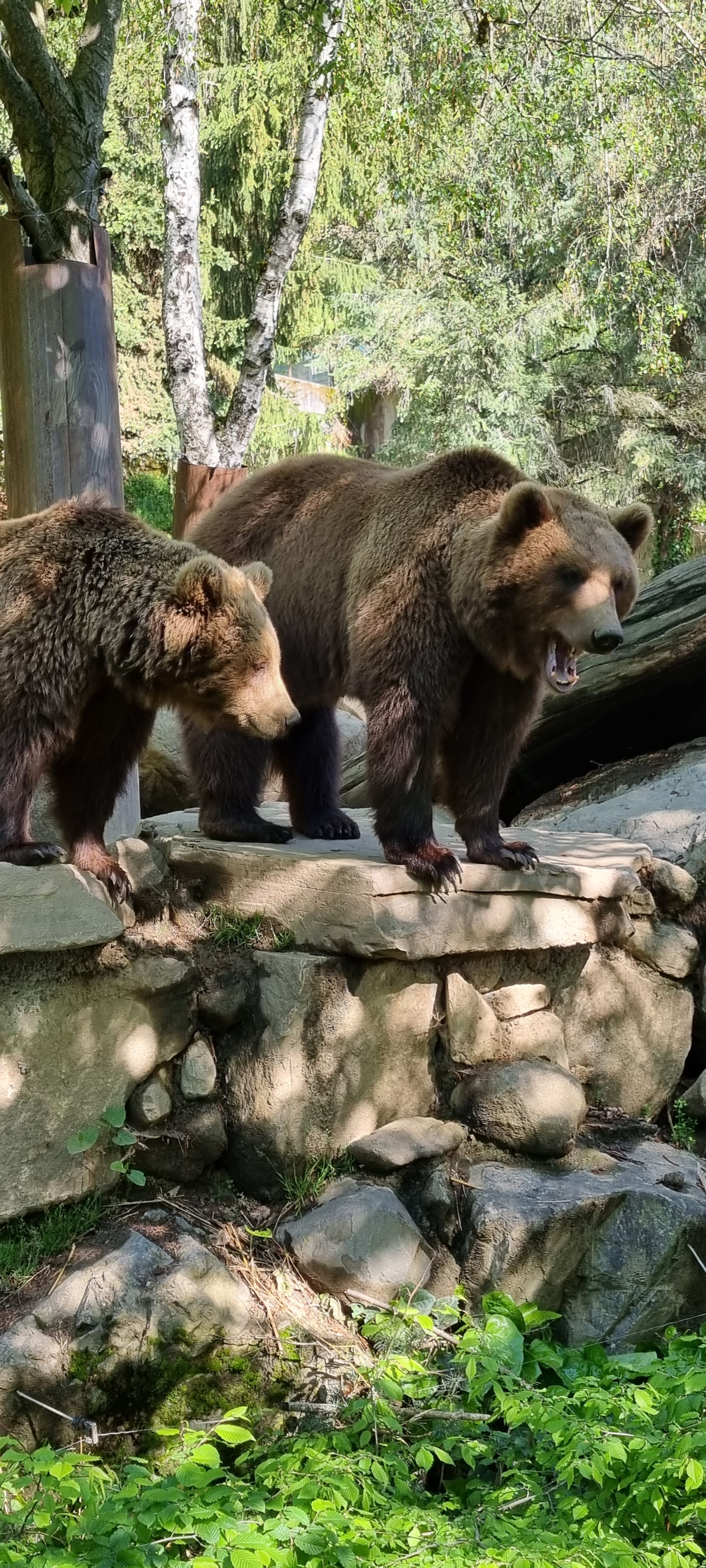 Photo n° 31 de l'avis de Anne.a fait le 25/04/2022 à 13:04