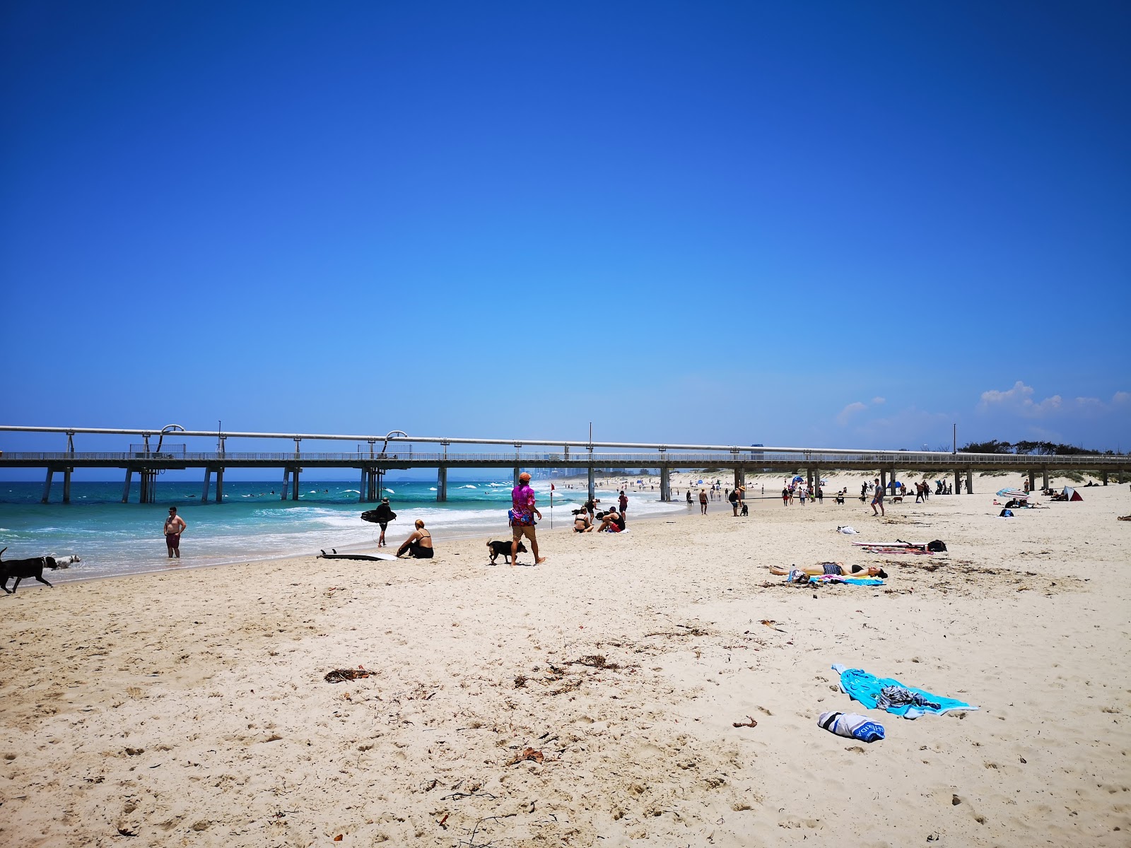 Foto van The Spit Dog Beach met turquoise puur water oppervlakte