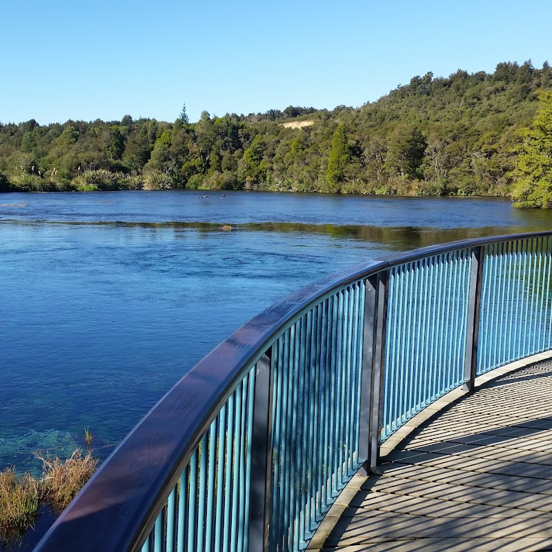 Te Waikoropupu Springs