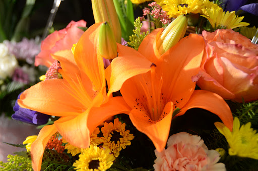 Florist «A New Leaf Flowers and Gifts», reviews and photos, 4106 Monona Dr, Madison, WI 53716, USA