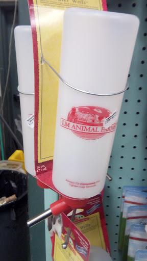 Pet Store «Petland Discounts - Parkchester», reviews and photos, 1949 Westchester Ave, Bronx, NY 10462, USA