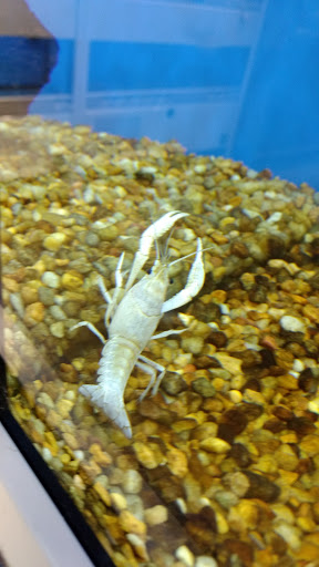 Pet Supply Store «Petco Animal Supplies», reviews and photos, 816 Washington St, Middletown, CT 06457, USA