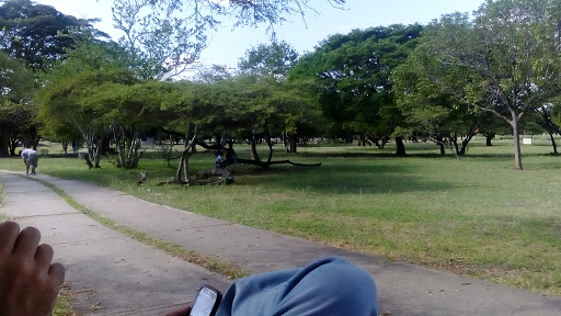 Parques para ir con perros en Barquisimeto