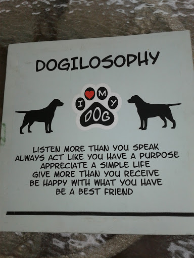 Thrift Store «Salvation Army Thrift Store», reviews and photos