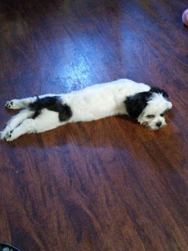 Pet Supply Store «The Dog House», reviews and photos, 4237 S Alameda St, Corpus Christi, TX 78412, USA