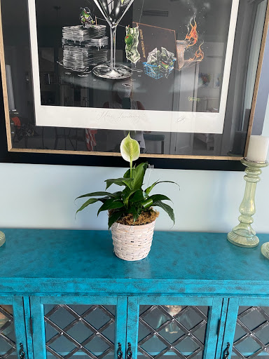 A Flower Garden Florist & Gifts, 1405 1st St, Sarasota, FL 34236, USA, 