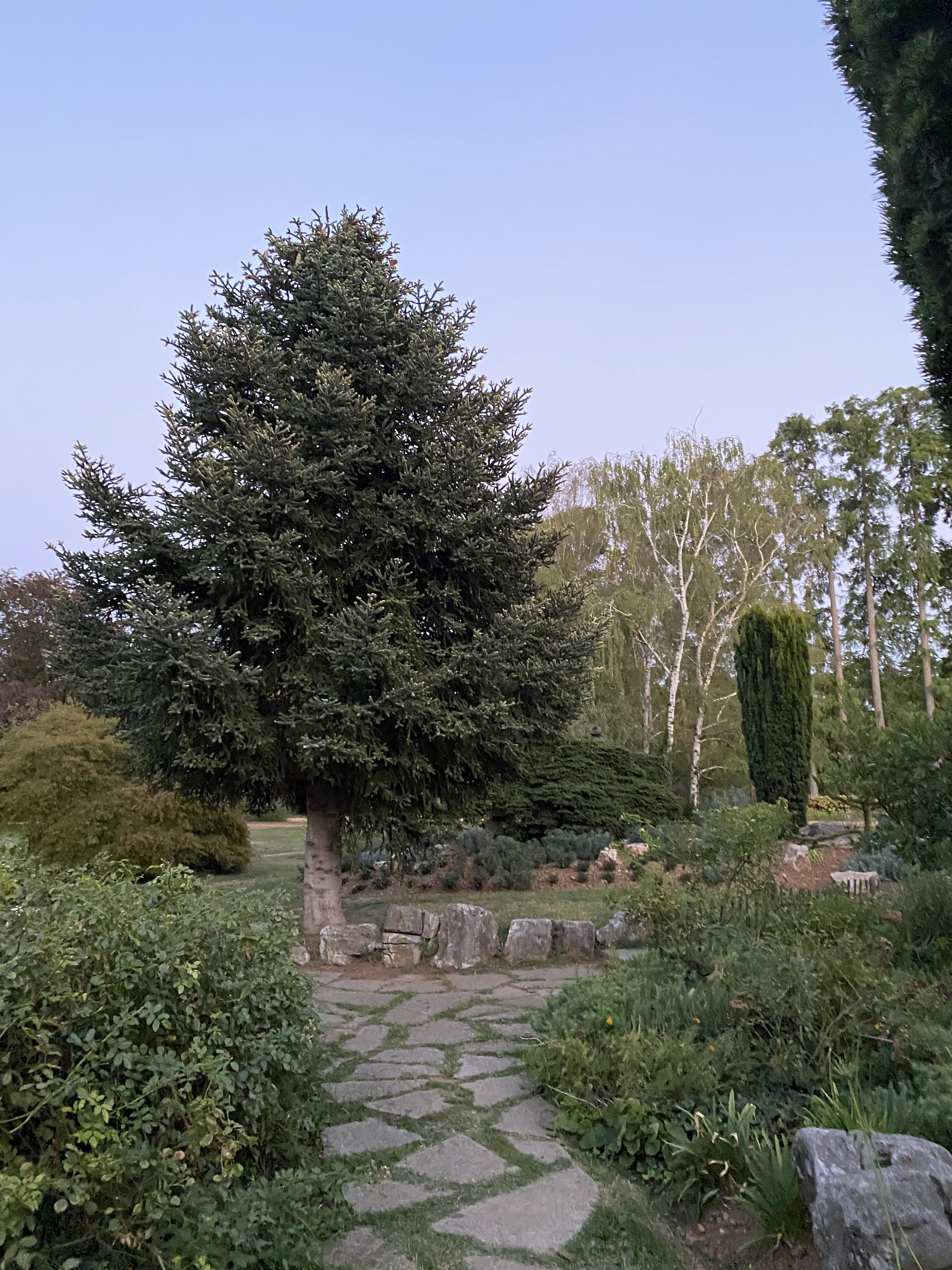 Photo n° 7 de l'avis de Rose.a fait le 04/09/2020 à 16:53