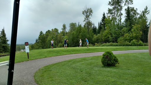 Golf Course «Wild Bluff Golf Course», reviews and photos, 11335 W Lakeshore Dr, Brimley, MI 49715, USA