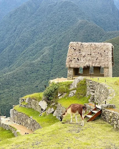 Tiendas Travelers Cusco