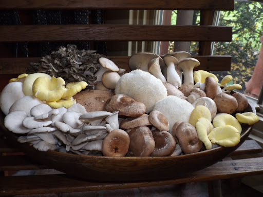 Produce Market «The Woodlands at Phillips», reviews and photos, 1020 Kaolin Rd, Kennett Square, PA 19348, USA