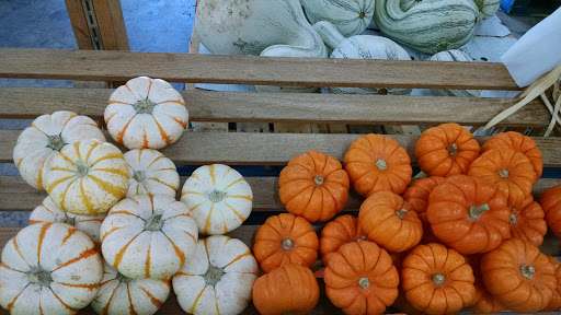 Produce Market «Premier Produce», reviews and photos, 5125 LA-19, Zachary, LA 70791, USA