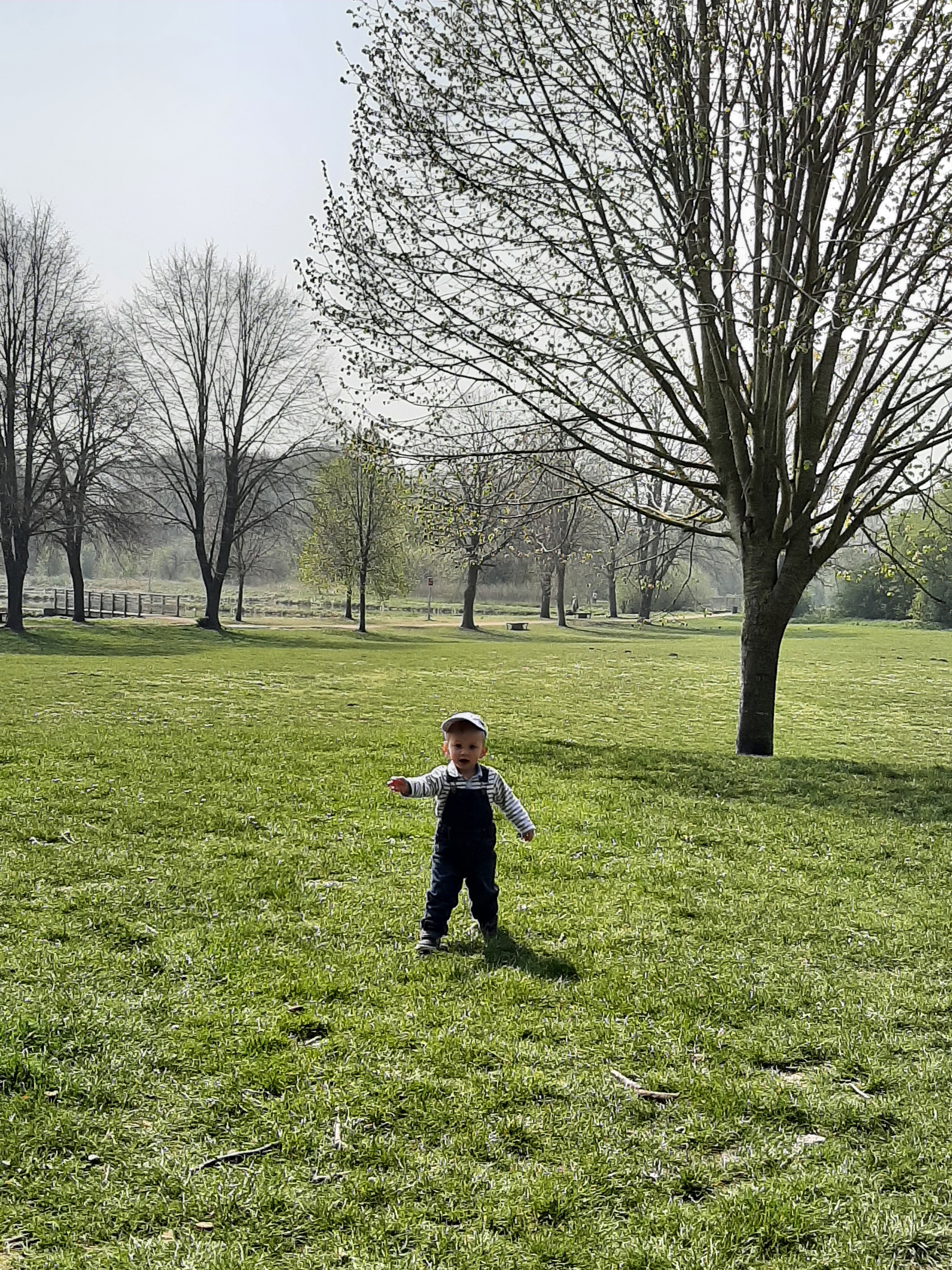 Photo n° 28 de l'avis de Nelly.e fait le 21/04/2021 à 11:03