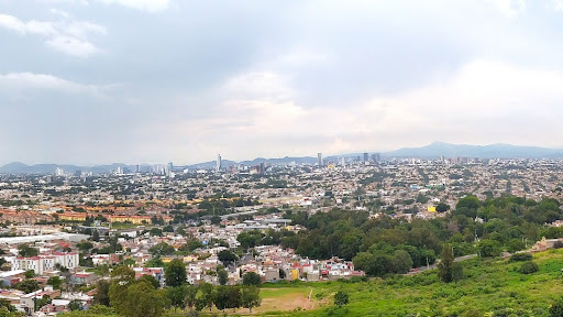 Bosque Arboledas del Sur