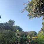 Photo n°1 de l'avis de Federica.a fait le 19/08/2023 à 10:12 sur le  Grand Hotel de Rose à Scalea