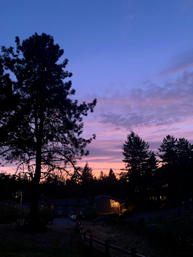 Park «Albert Kelly Park», reviews and photos, SW Dosch Rd & SW Mitchell St, Portland, OR 97239, USA