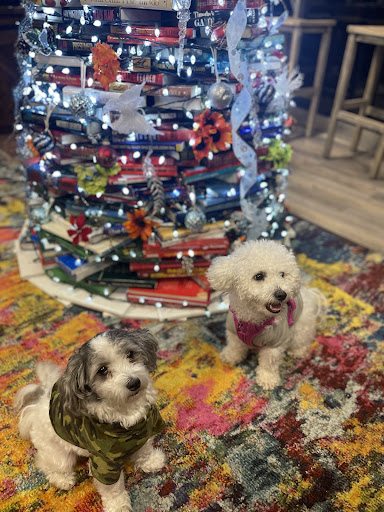 Used Book Store «Book Rack», reviews and photos, 125 E McKey St, Ocoee, FL 34761, USA