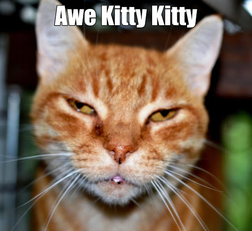 Electrician «Commercial Electrical Services», reviews and photos, 138 Chappell Rd, Dawsonville, GA 30534, USA