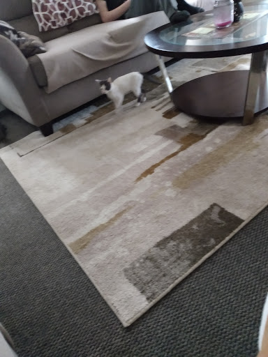 Home Goods Store «Dollar General», reviews and photos, 2649 Main St, Whitney Point, NY 13862, USA