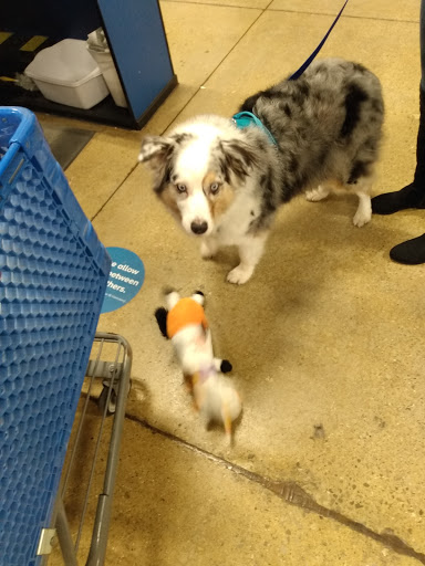 Pet Supply Store «PetSmart», reviews and photos, 130 Junction Drive, Glen Carbon, IL 62034, USA