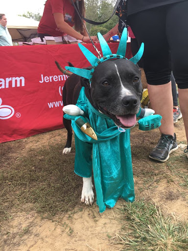 Auto Insurance Agency «State Farm: Jeremy Fulkerson», reviews and photos