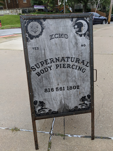 Explore possum tattoo ideas, creative tattoo ideas in Kansas City, available at Supernatural Body Piercing