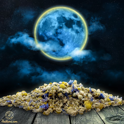 Coffee Roasters «Hashems Nuts & Coffee Gallery», reviews and photos, 13041 W Warren Ave, Dearborn, MI 48126, USA