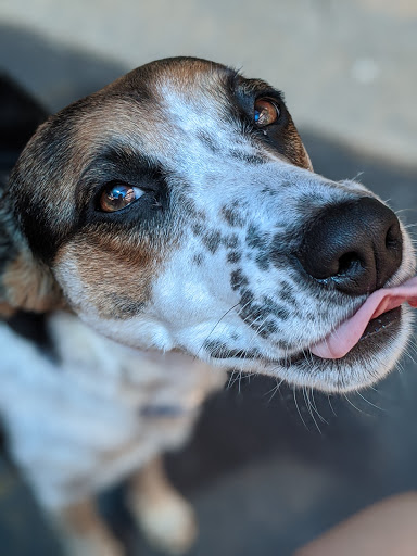 Bicycle Rental Service «Green Fleet Bicycle Shop», reviews and photos, 934 Jefferson St, Nashville, TN 37208, USA