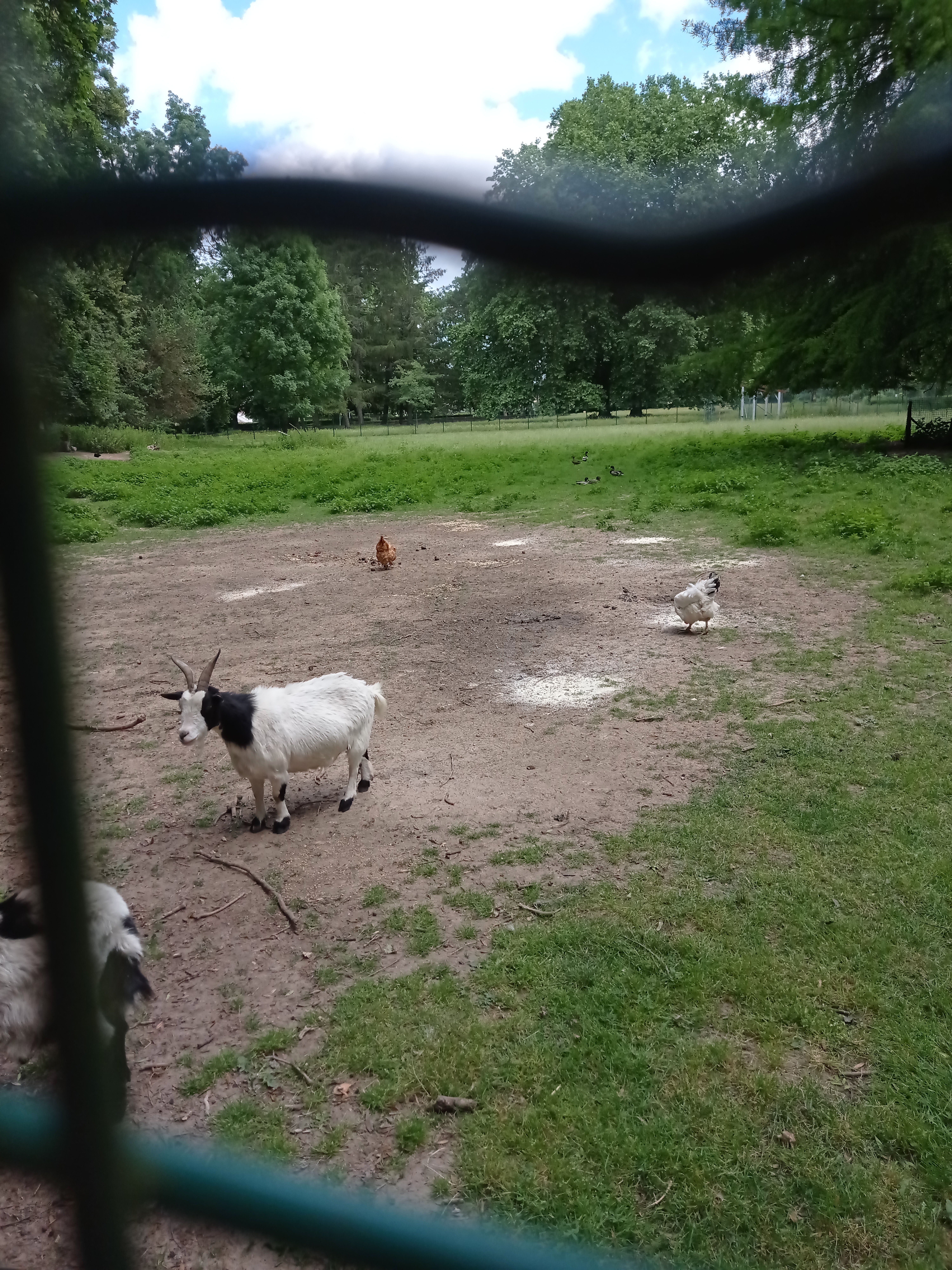 Photo n° 2 de l'avis de Quentin.e fait le 24/05/2022 à 11:35