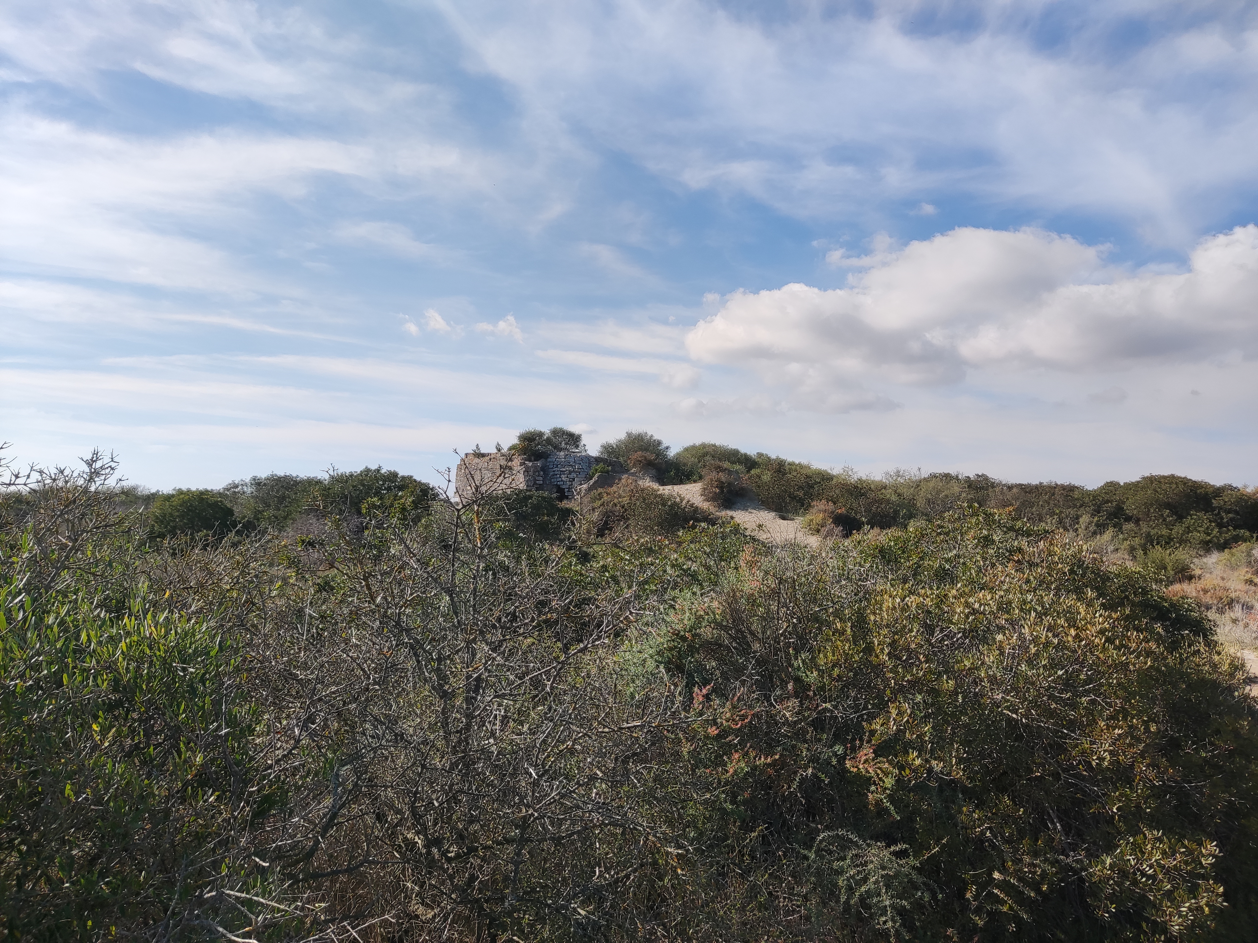 Photo n° 11 de l'avis de Oliver.i fait le 19/10/2021 à 15:46