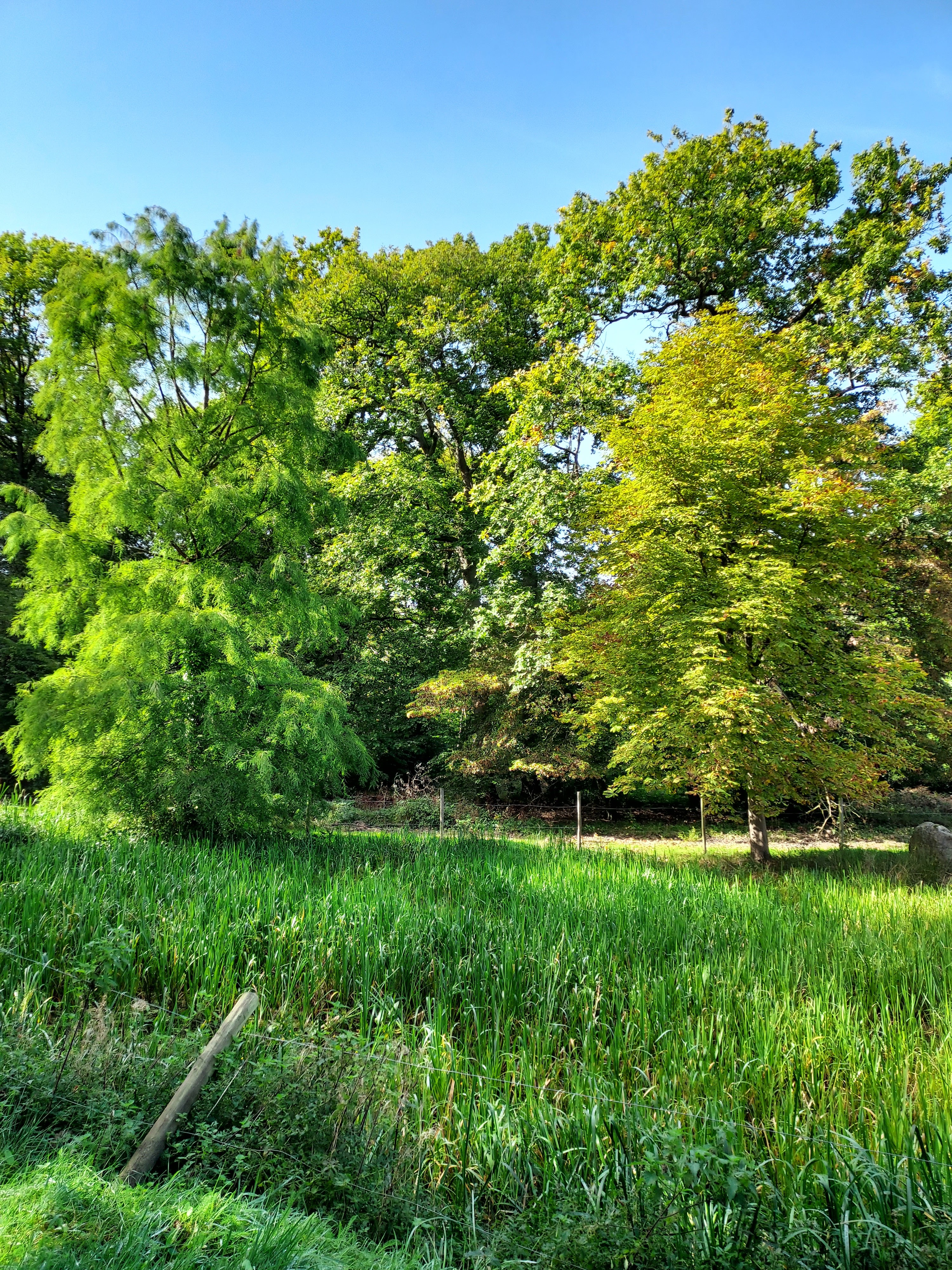 Photo n° 3 de l'avis de Agnès.e fait le 14/10/2023 à 07:21