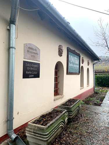 Babits Pincészet Vendégház - Szegi