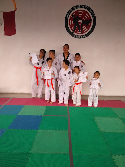Central Kalmekak Taekwondo - Octava Priv. Lilas 701, Villa de las Flores, 55710 San Francisco Coacalco, Méx., Mexico