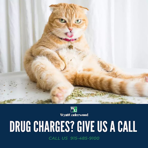 Criminal Justice Attorney «Wyatt Underwood Trial Lawyers», reviews and photos