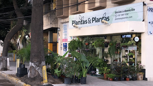 Plantas & Plantas