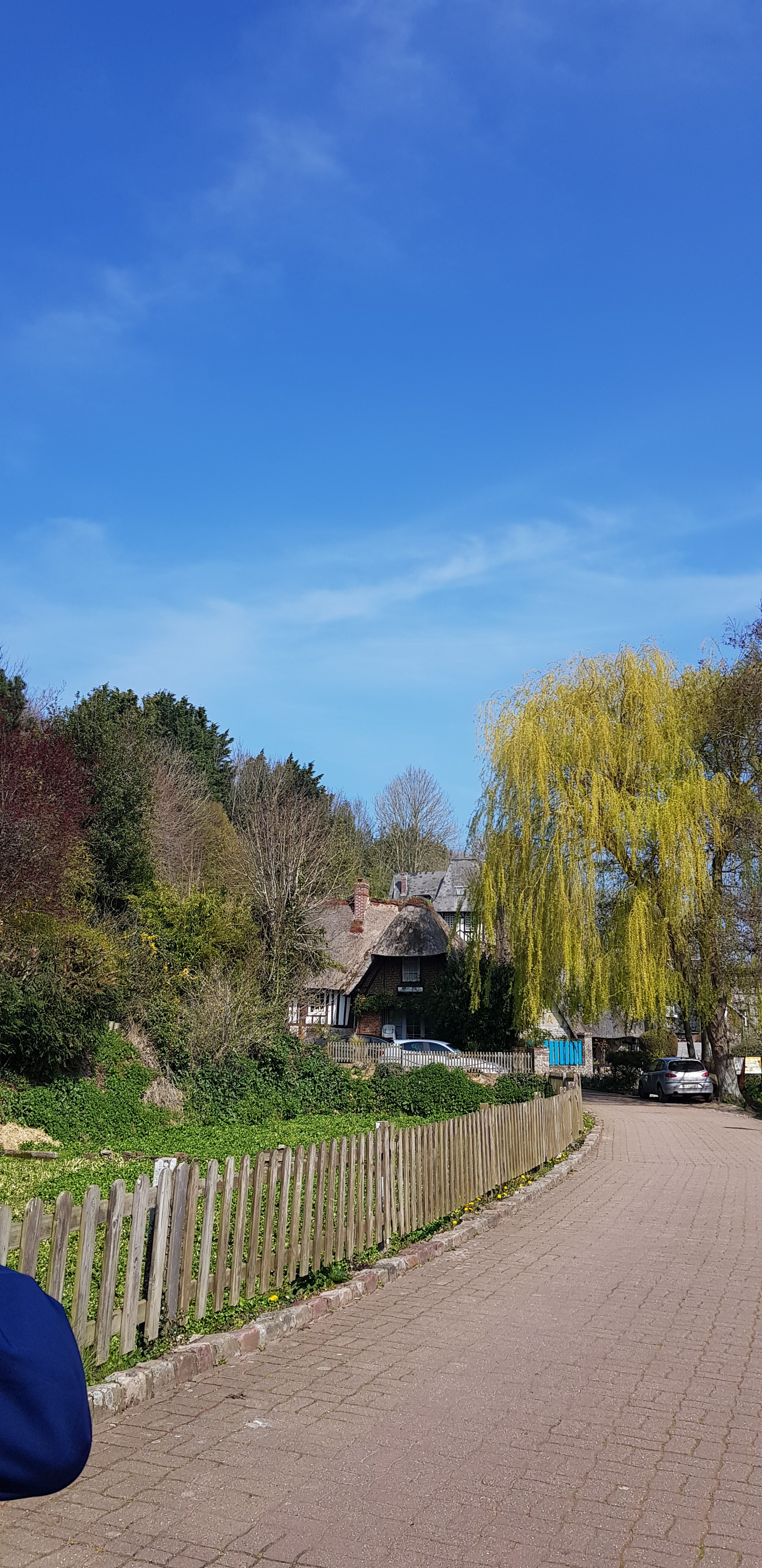 Photo n° 7 de l'avis de beatrice.r fait le 08/04/2019 à 15:08