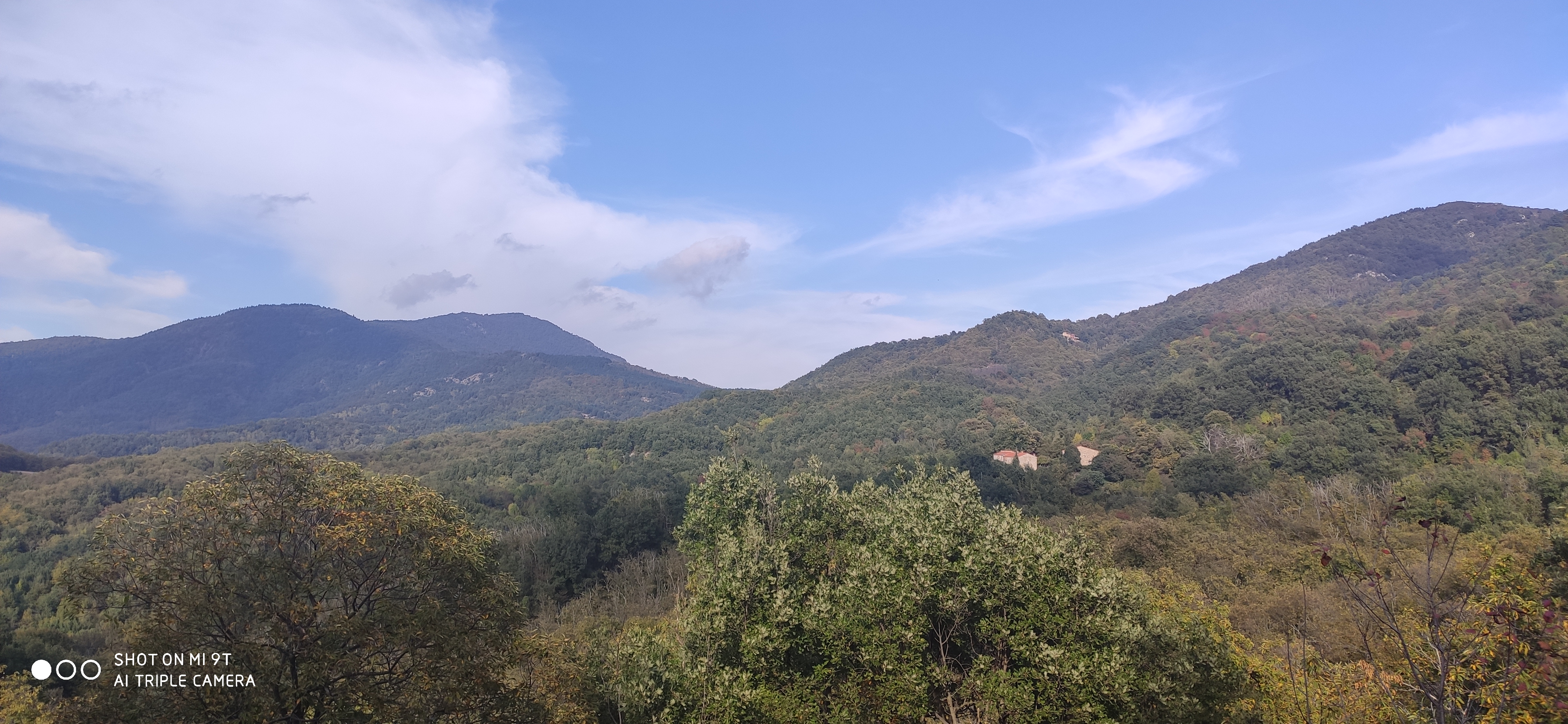 Photo n° 2 de l'avis de Rene.a fait le 19/10/2021 à 06:17