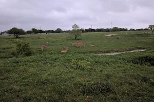 Texas Disposal Systems Exotic Game Ranch image