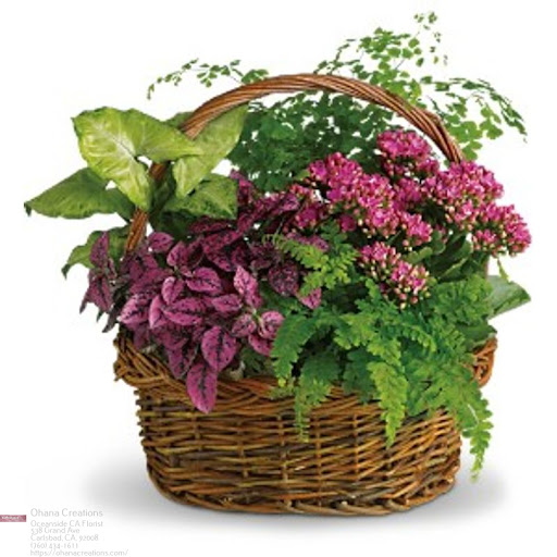 Ohana Creations Florist & Flower Delivery image
