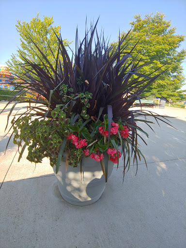 Water Park «Raging Waves Waterpark», reviews and photos, 4000 N Bridge St, Yorkville, IL 60560, USA