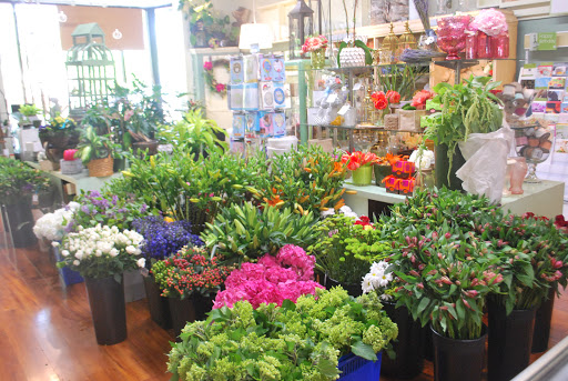 Florist «Park Florist», reviews and photos, 6921 Laurel Ave, Takoma Park, MD 20912, USA