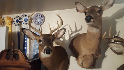 Mills Taxidermy - Your Critter Connection
