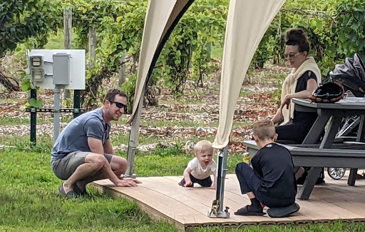 Winery «Alexis Bailly Vineyard», reviews and photos, 18200 Kirby Ave S, Hastings, MN 55033, USA