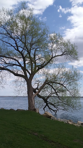 Convention Center «Monona Terrace Community and Convention Center», reviews and photos, 1 John Nolen Dr, Madison, WI 53703, USA