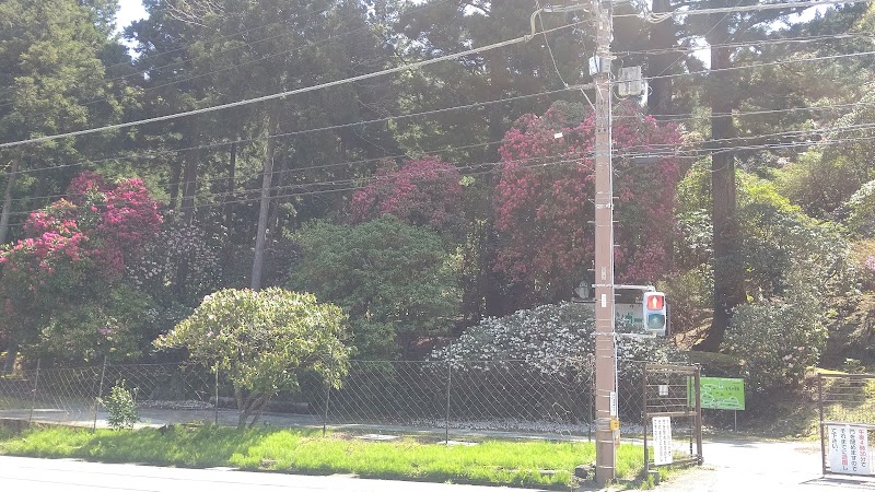 天城グリーンガーデン 静岡県伊豆市湯ケ島 観光名所 グルコミ